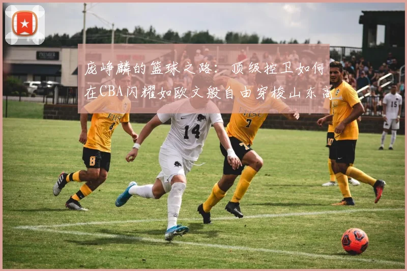 庞峥麟的篮球之路：顶级控卫如何在CBA闪耀如欧文般自由穿梭山东高速